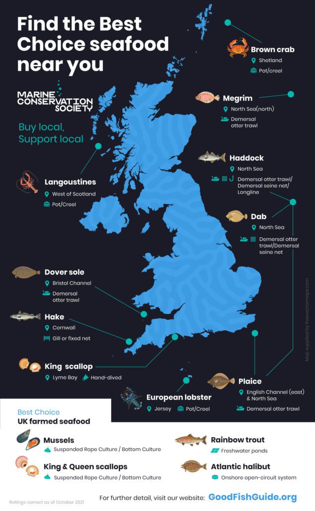 Shellfish Map Britain UK seafood ratings updated for new Good Fish Guide | Discover Animals