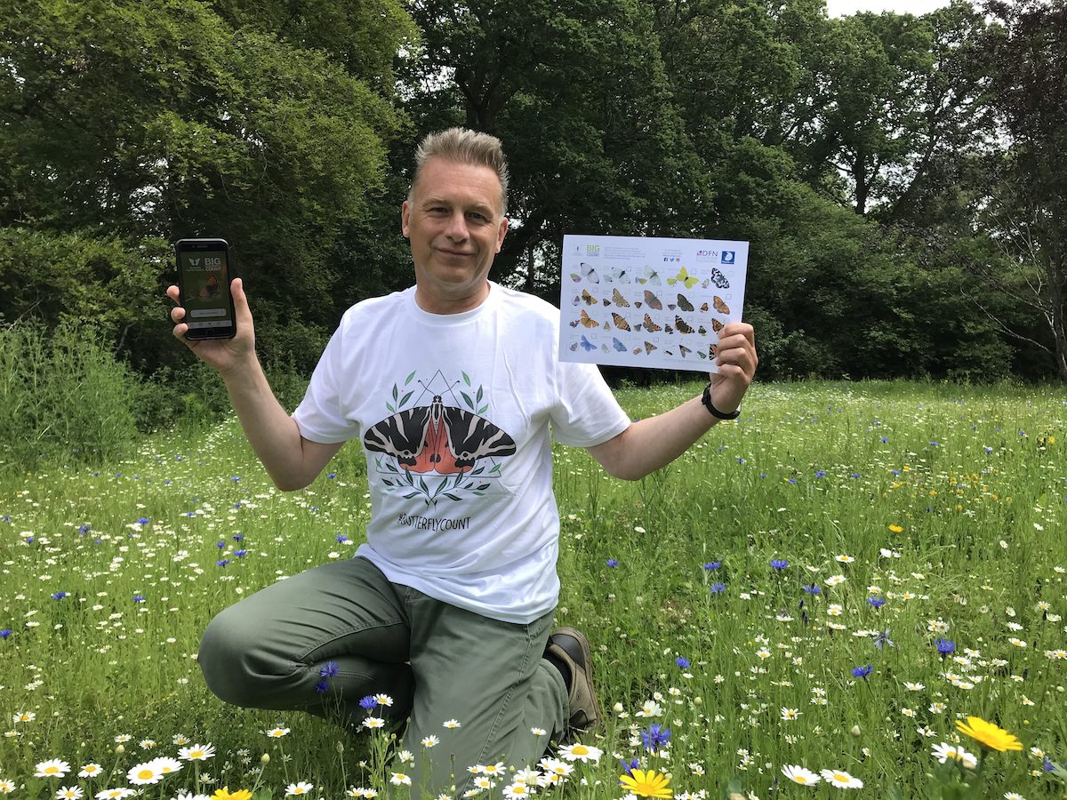 Chris Packham launches the Big Butterfly Count 2022