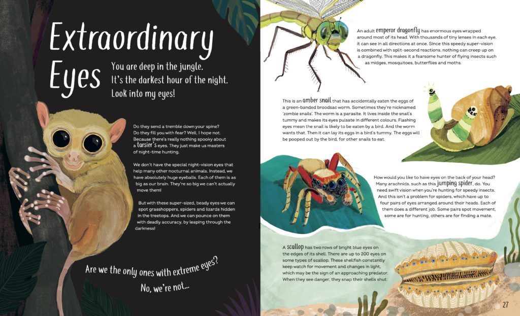 A page from the book Funny Bums, Freaky Beaks by Alex Morss and Sean Taylor
