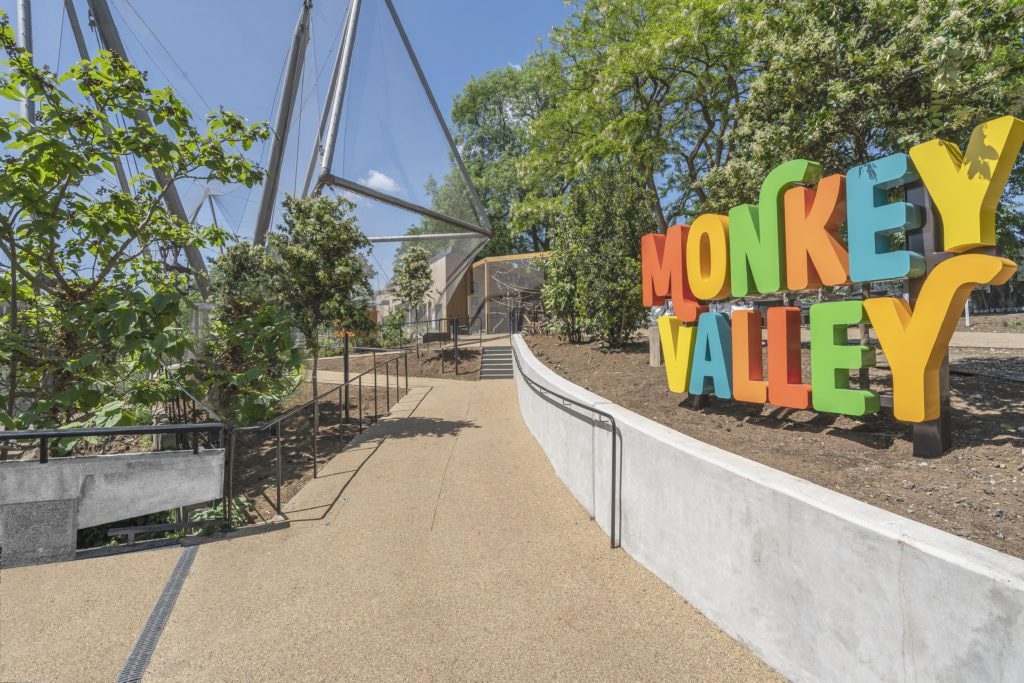 The new Monkey Valley attraction at ZSL London Zoo, opening on 15ht August 2022