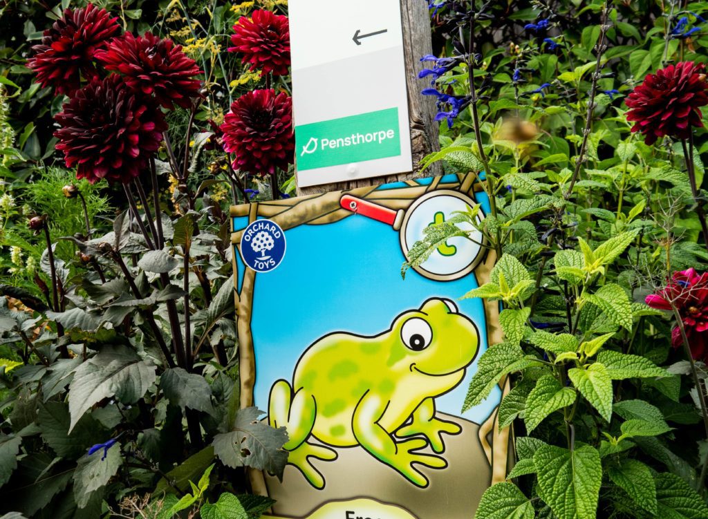 The frog themed signage for the nature knowledge trails from Pensthorpe and Orchard Toys