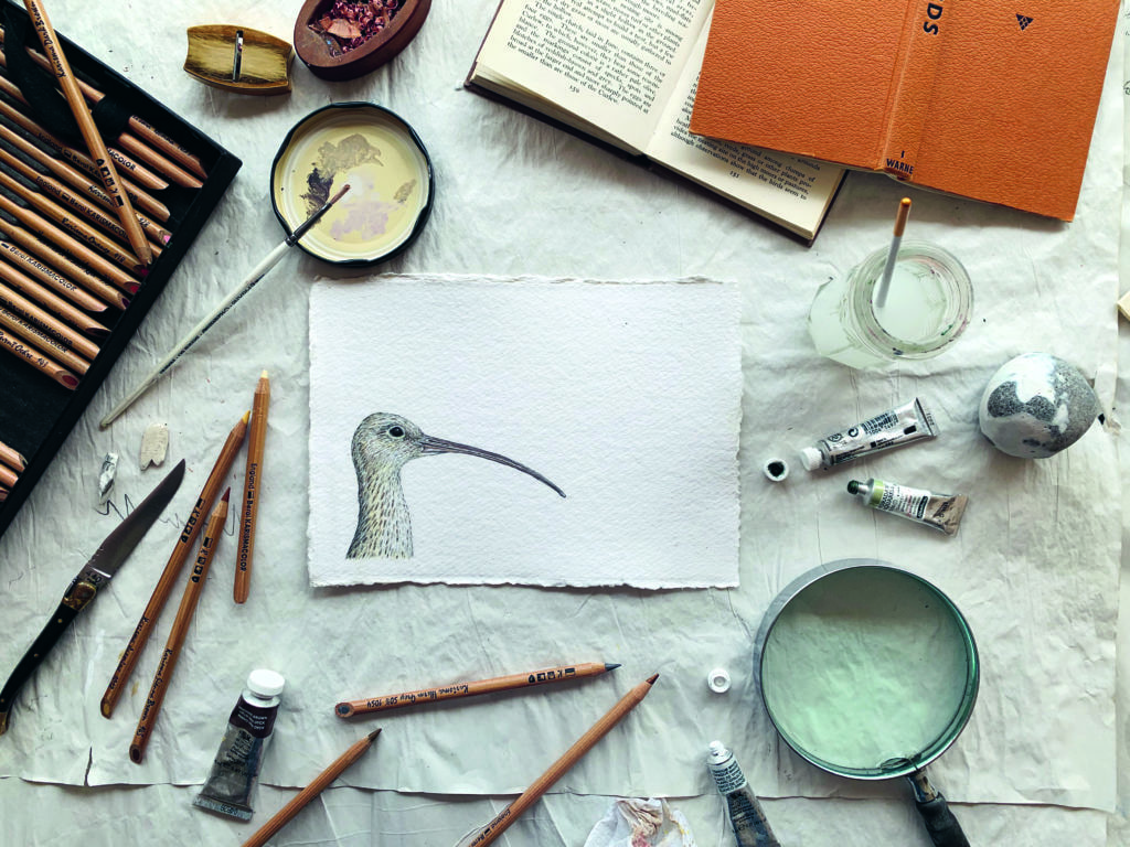A still of the artist's tools and drawing process from Anna Koska's from Coast & Cove