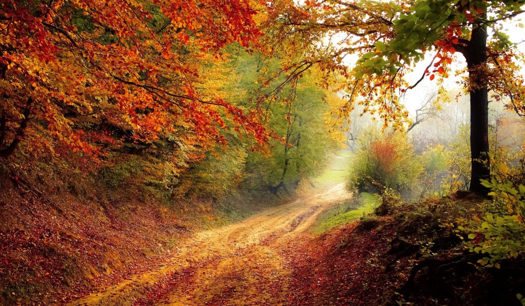 The landscape will be changed by the Retained EU Law Bill