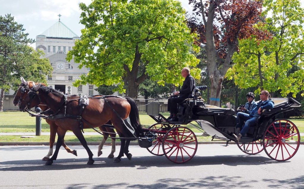A Fiaker tour in the Central Cemetery in Vienna, where the Spanish Riding School can also be found