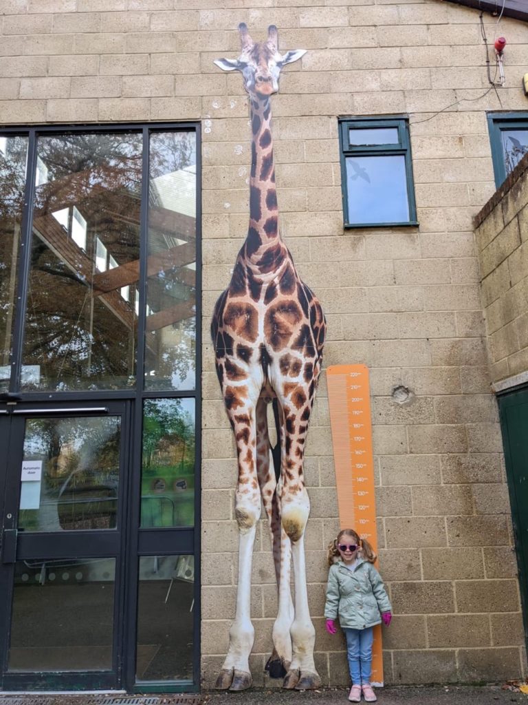 A child with the giraffe statue at Marwell Zoo, one of the places you can see wildlife at this February half term