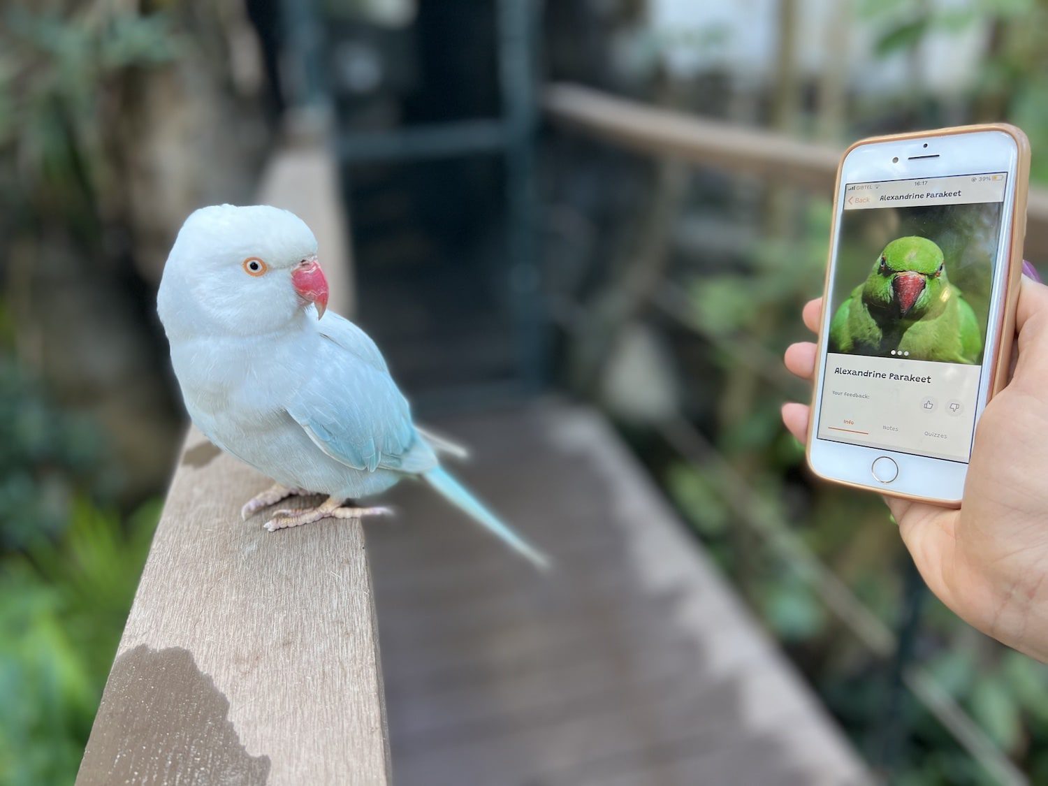 UK tech company helps tiny Gibraltar zoo promote its big message