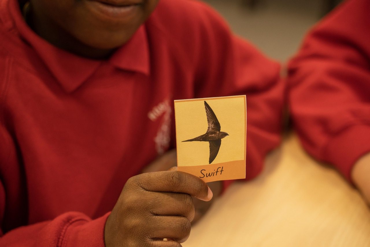 Swift education session Large