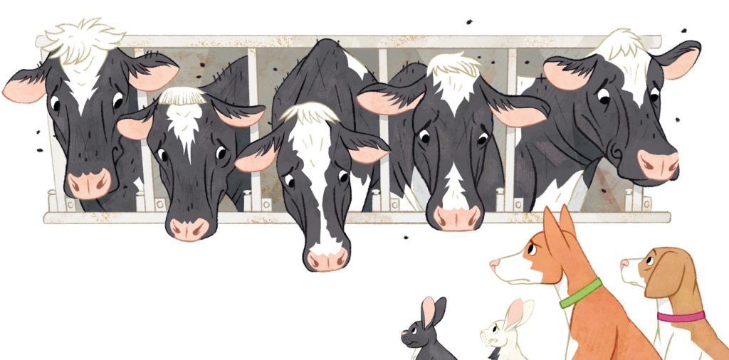 Illustrations from JUNO'S ARK