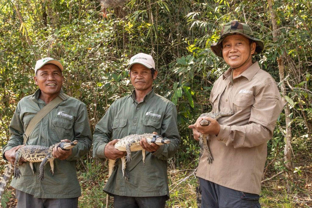Holding baby caimans in Our Changing Planet