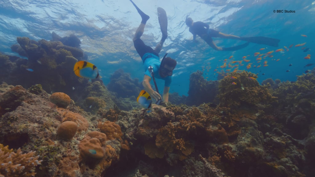 Diving to set up the underwater camera in the Maldives in Our Changing Planet