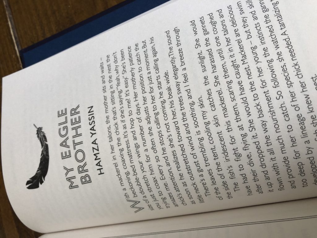 A page from Wilder Journeys