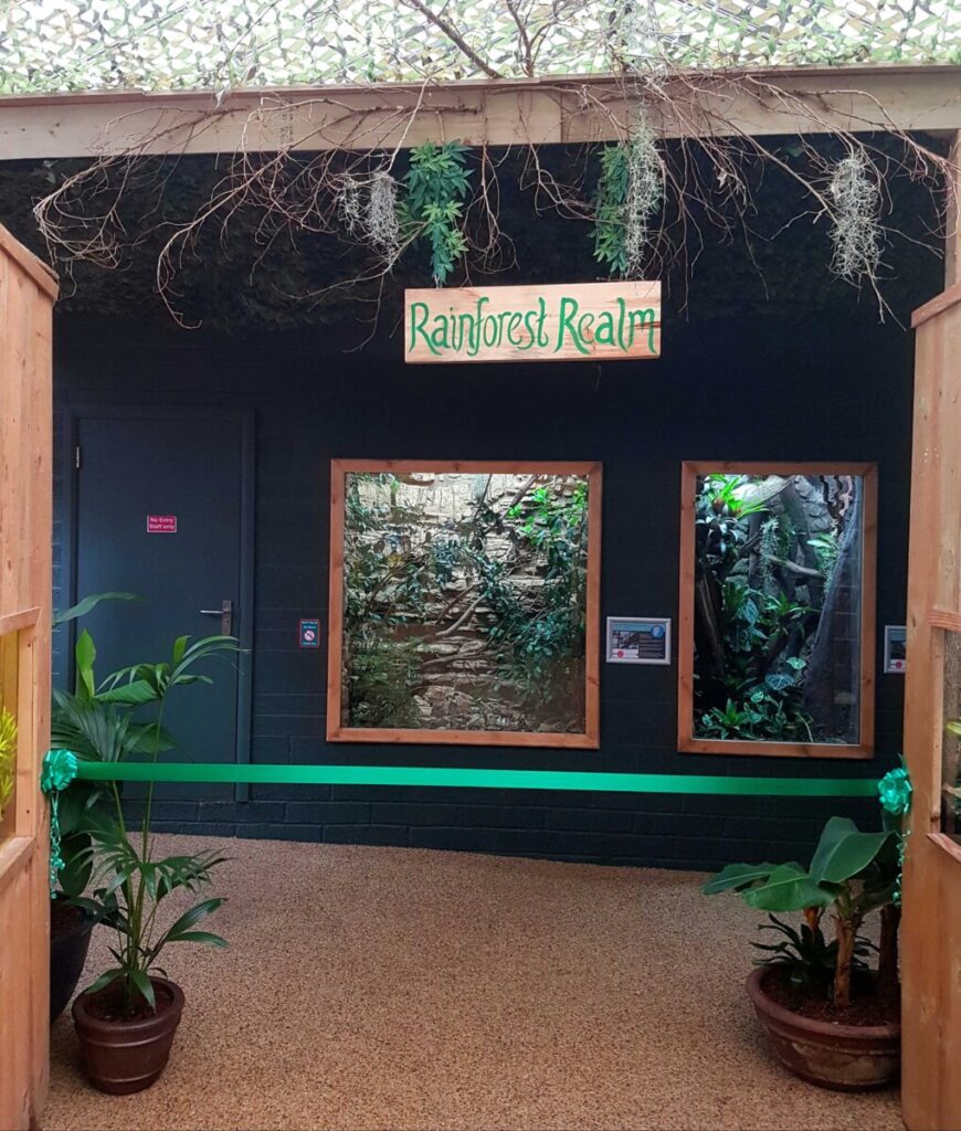 Rainforest Realm lr Rainforest Realm