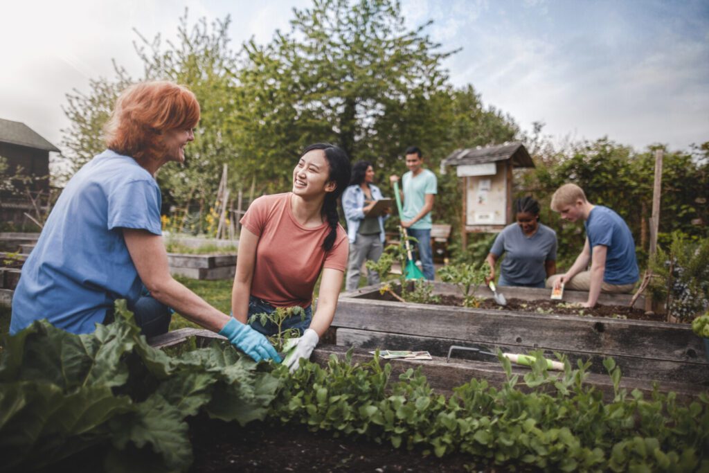 Multiracial group of young men and young women gather as volunteers to plant vegetables in community garden with mature woman project manager advice and teamwork People gather to plant vegetables in a community garden to help the butterfly population